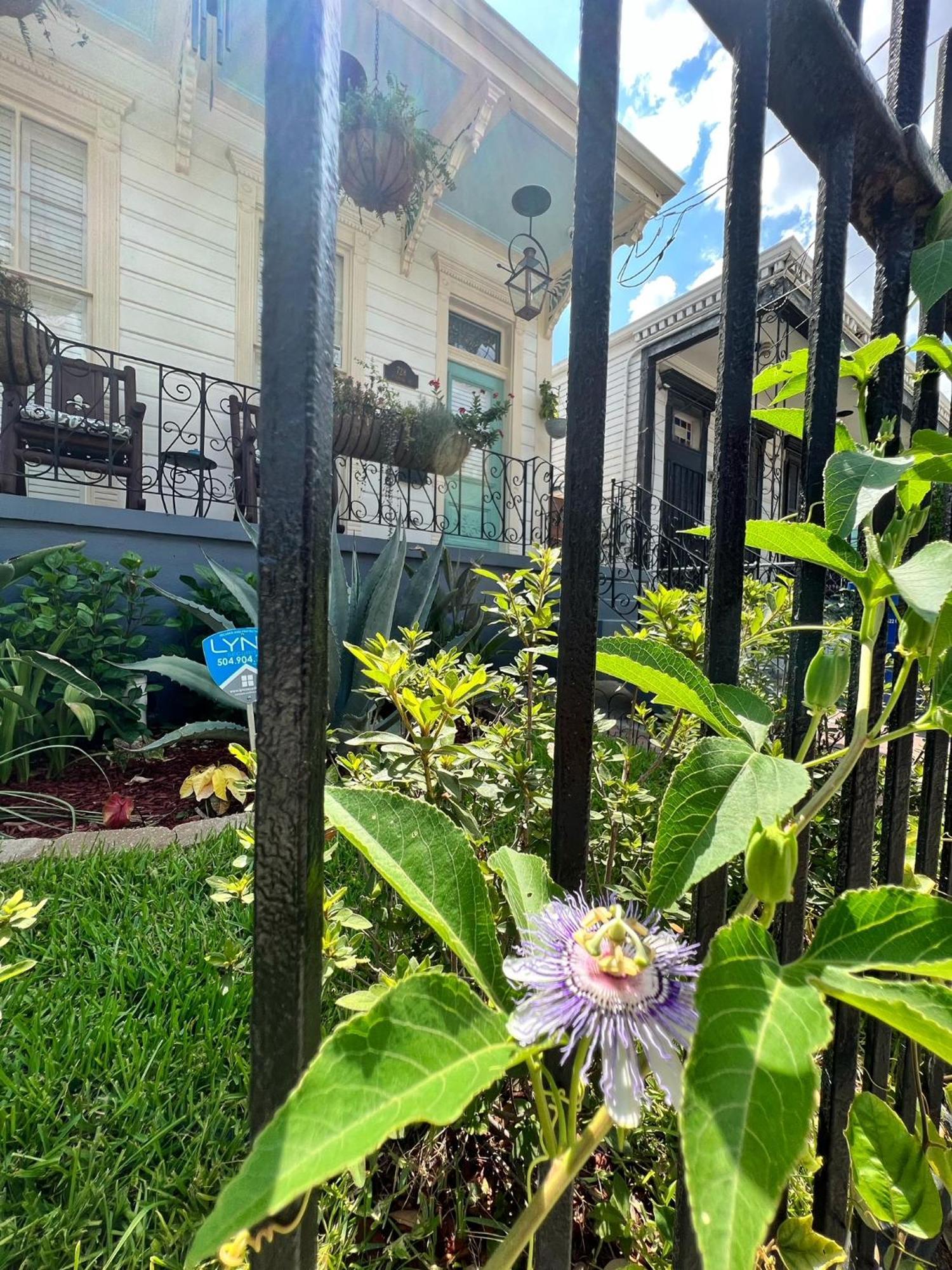 Luxury Historic Shotgun Home In Lower Garden District Ню Орлиънс Екстериор снимка